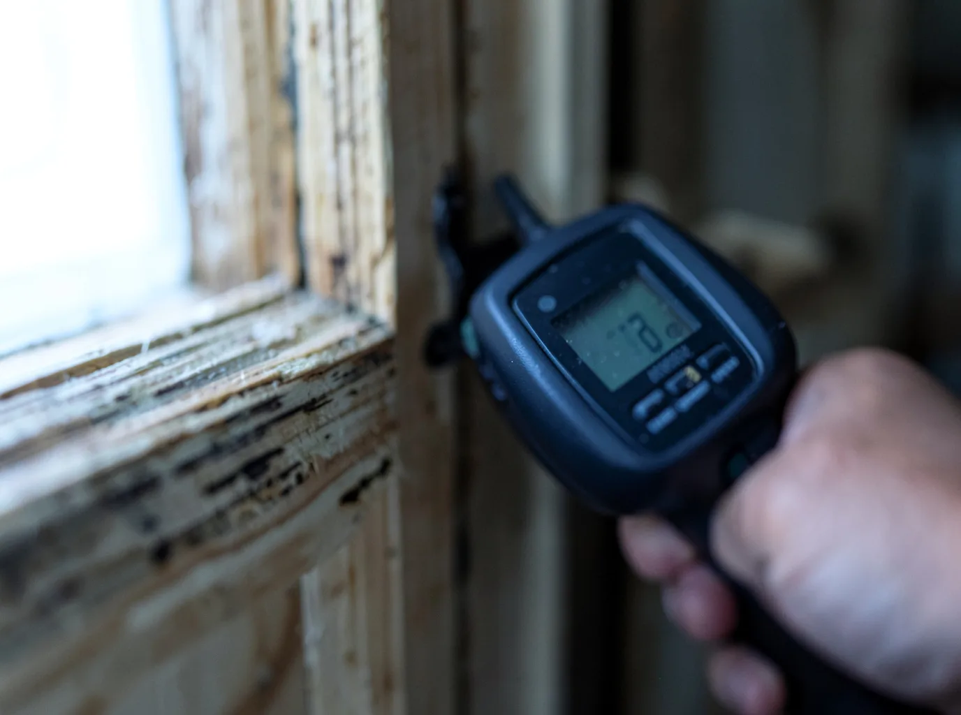 Commercial Water Damage Restoration in Randalia, IA
